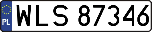 WLS87346