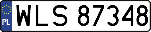 WLS87348