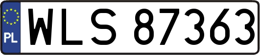 WLS87363