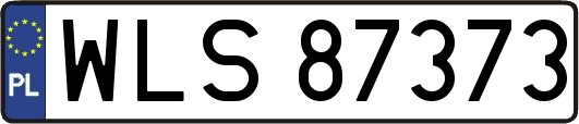 WLS87373