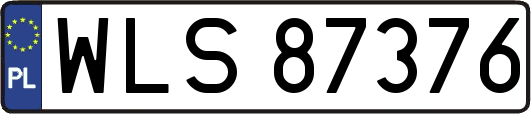 WLS87376