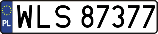 WLS87377