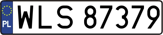 WLS87379