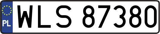 WLS87380
