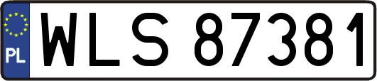 WLS87381