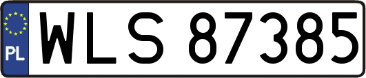 WLS87385