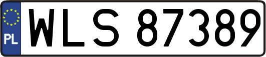 WLS87389