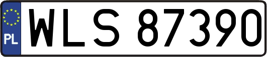 WLS87390