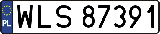 WLS87391