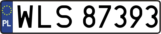 WLS87393