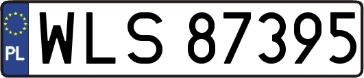 WLS87395