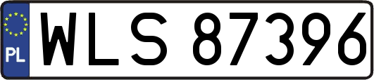 WLS87396