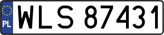 WLS87431