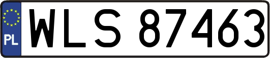 WLS87463