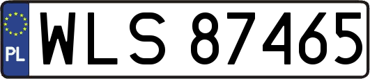 WLS87465