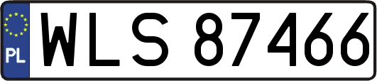 WLS87466