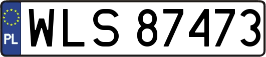 WLS87473