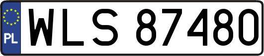 WLS87480