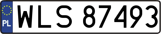 WLS87493