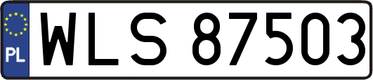 WLS87503