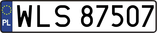 WLS87507