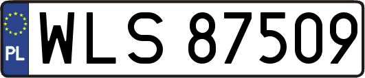 WLS87509