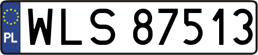 WLS87513