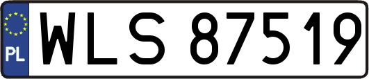WLS87519