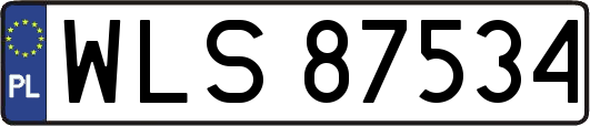 WLS87534