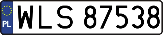 WLS87538
