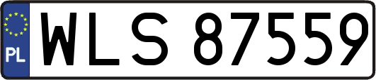 WLS87559