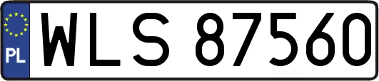 WLS87560