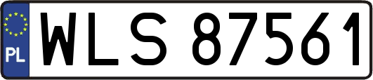 WLS87561