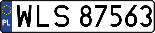 WLS87563