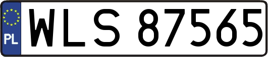 WLS87565