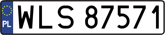 WLS87571