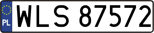 WLS87572