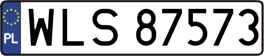 WLS87573