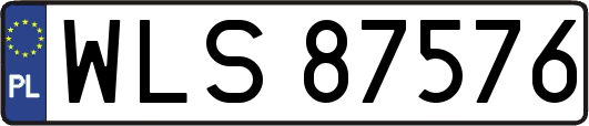 WLS87576
