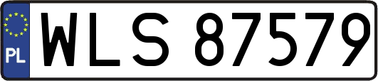 WLS87579