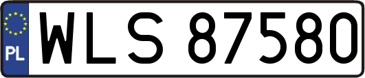 WLS87580