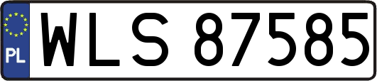 WLS87585