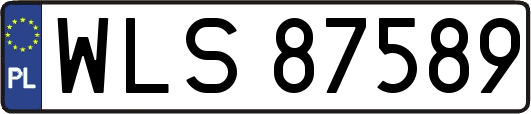 WLS87589