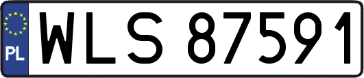WLS87591