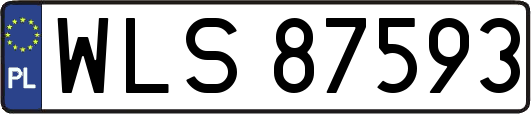WLS87593