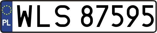 WLS87595