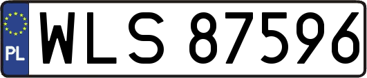 WLS87596