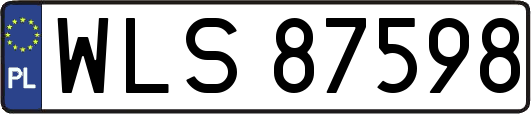 WLS87598