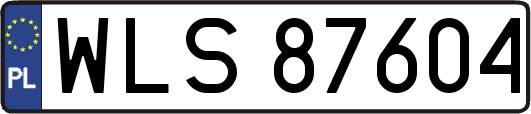WLS87604