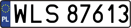 WLS87613